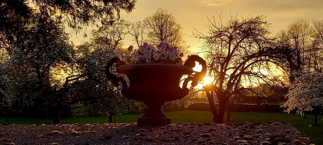 Chateau De Cleuville Exteriér fotografie